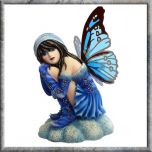 Butterfly Wing Fairies
